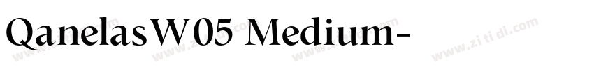 QanelasW05 Medium字体转换